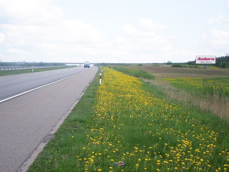 Reklamos stendas, Kaunas–Klaipėda 236km (D pusė)